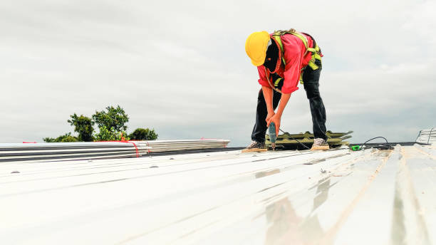 Best Rubber Roofing (EPDM, TPO)  in Bristol, FL