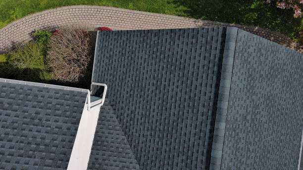 Best Chimney Flashing Repair  in Bristol, FL