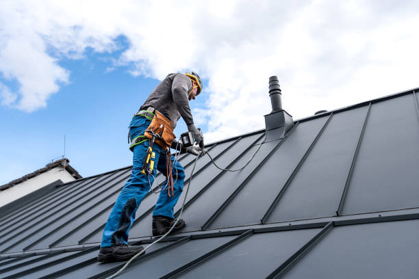 Best Roof Coating and Sealing  in Bristol, FL